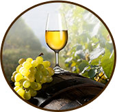 коррекция фигуры