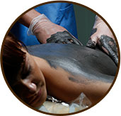 коррекция фигуры